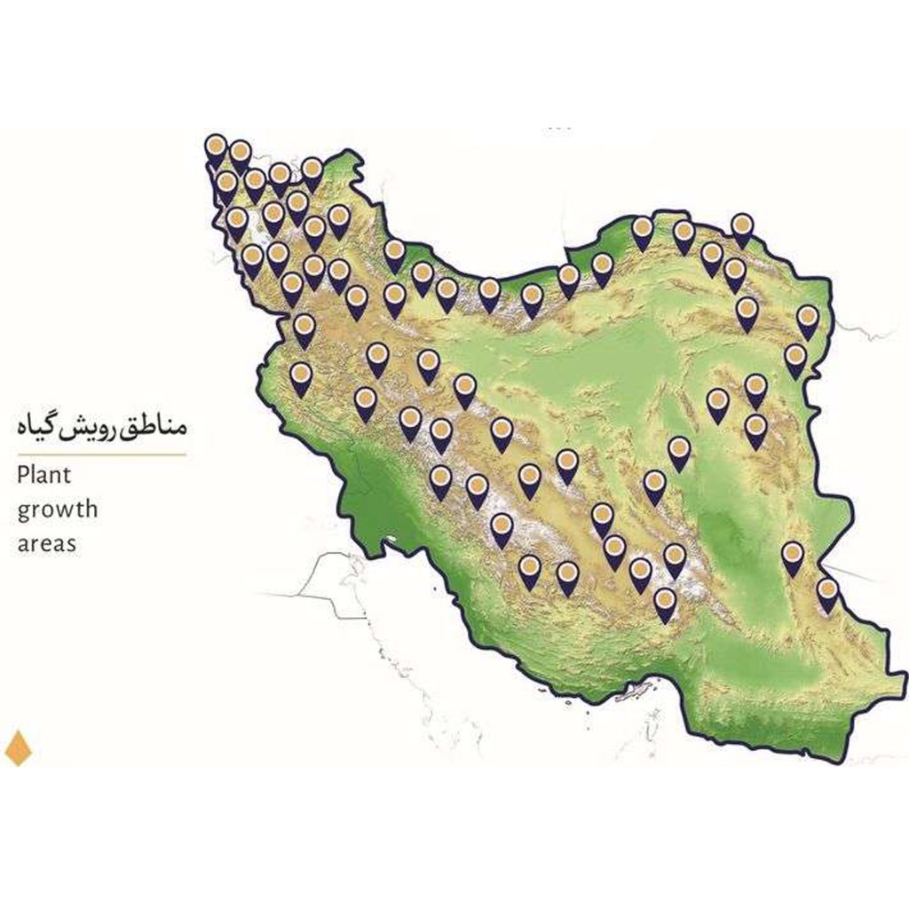 مناطق رویش گیاه عسل کوهستان