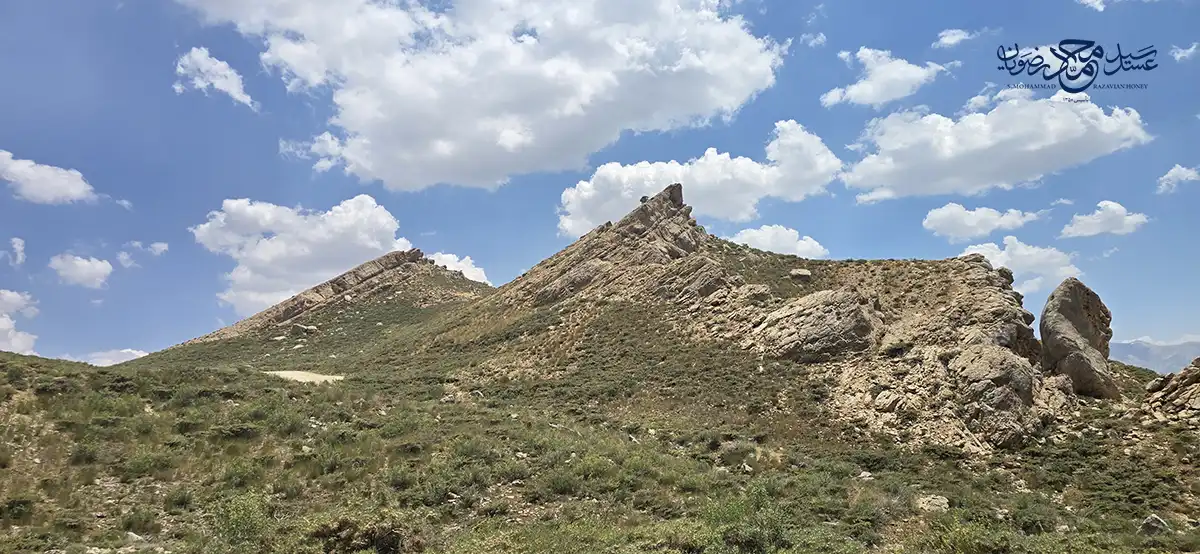 کوهستان های زاگرس